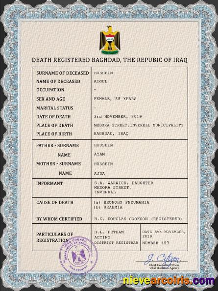 Iraq vital record death certificate